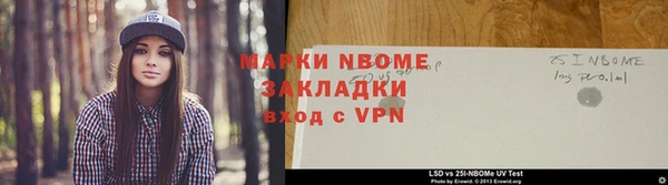 индика Алексин
