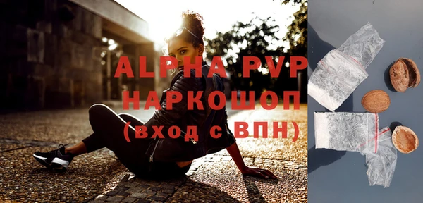 индика Алексин