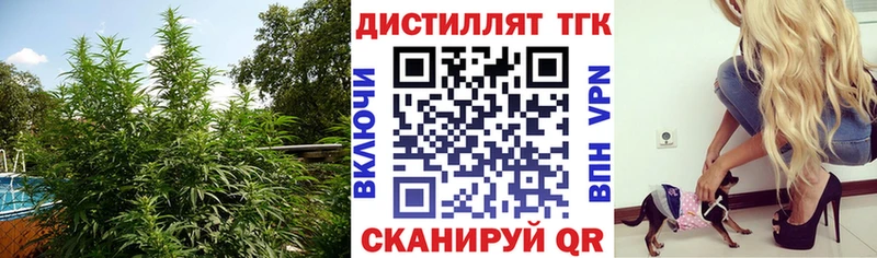 мега зеркало  Кашин  Дистиллят ТГК вейп с тгк  купить  цена 