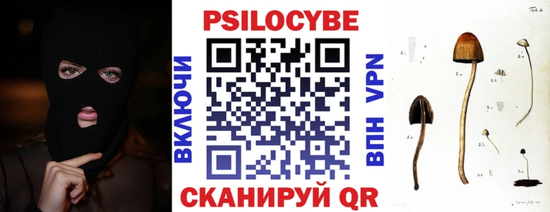 купить ОМГ ОМГ маркетплейс Псилоцибиновые грибы GOLDEN TEACHER Кашин